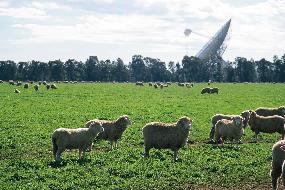 Radio Telescope